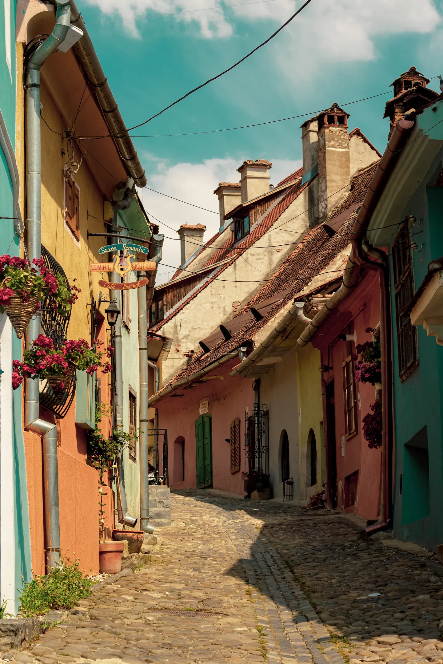 A sunlit cobbled lane in Sighișoara with colorful façades and flower boxes